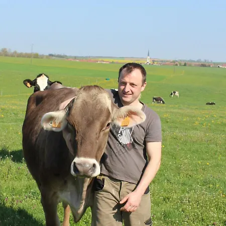 Grand Equipe A La Ferme, Ideal Pour Familles Et Amis, Avec Terrasse Et Proche De Loisirs - Fr-1-584-295 Lironville