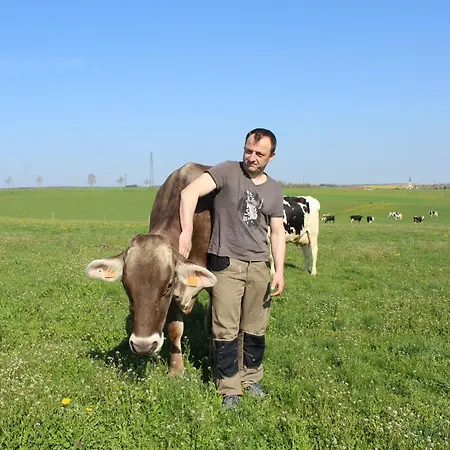 Hétvégi ház Grand Equipe A La Ferme, Ideal Pour Familles Et Amis, Avec Terrasse Et Proche De Loisirs - Fr-1-584-295