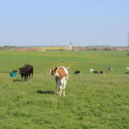Vakantiehuis Grand Equipe A La Ferme, Ideal Pour Familles Et Amis, Avec Terrasse Et Proche De Loisirs - Fr-1-584-295 *