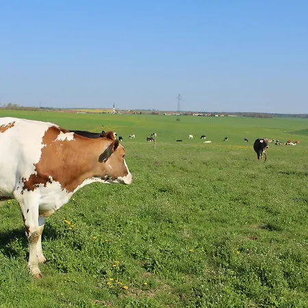 Grand Equipe A La Ferme, Ideal Pour Familles Et Amis, Avec Terrasse Et Proche De Loisirs - Fr-1-584-295 Ferienhaus Lironville