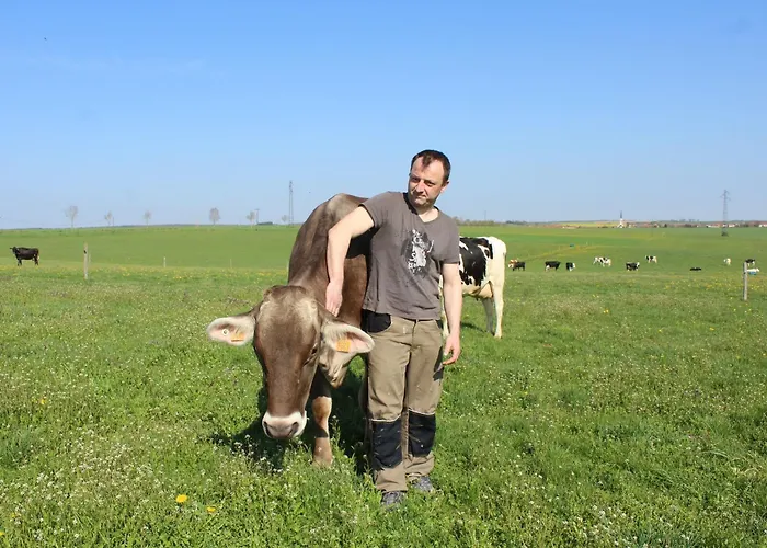 Prázdninový dům Grand Equipe A La Ferme, Ideal Pour Familles Et Amis, Avec Terrasse Et Proche De Loisirs - Fr-1-584-295